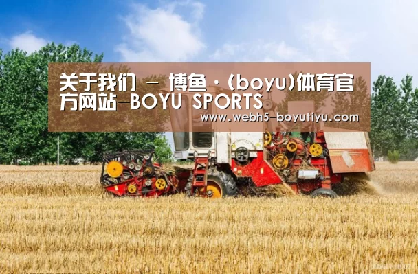 产品名称四