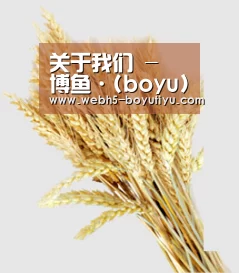 关于我们 - 博鱼·(boyu)体育官方网站-BOYU SPORTS