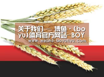 关于我们 - 博鱼·(boyu)体育官方网站-BOYU SPORTS