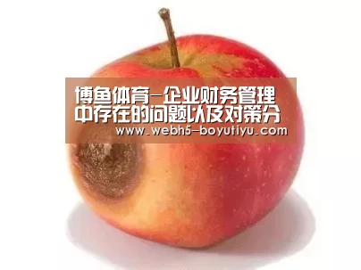 博鱼体育-企业财务管理中存在的问题以及对策分析(图2) boyu tiyu