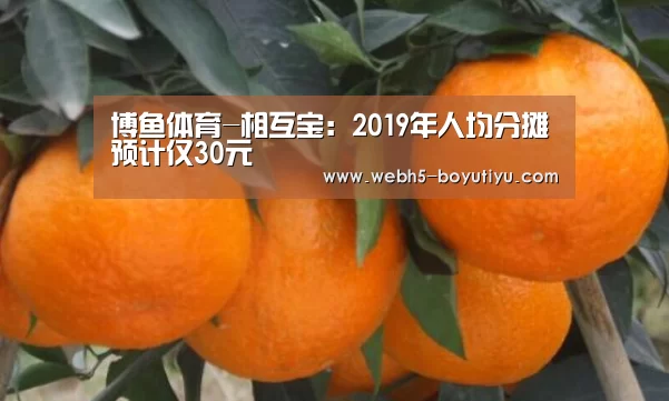 博鱼体育-相互宝:2019年人均分摊预计仅30元(图1) 博鱼体育